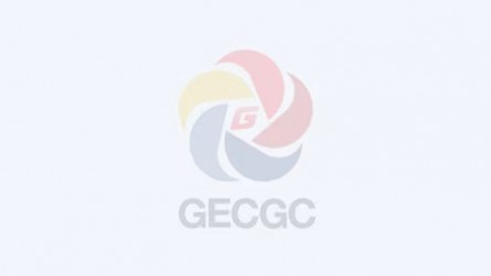 集團紀(jì)委中秋國慶節(jié)前開展明察暗訪督查